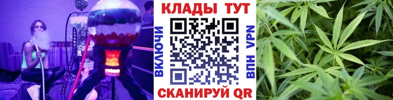 Где можно купить наркотики Можга Кодеин Меф мяу мяу Амфетамин COCAIN Конопля Alpha PVP