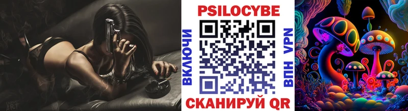 дарнет шоп  Можга  Галлюциногенные грибы Cubensis 